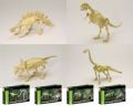 Thames and Kosmos 974510 Dinosaur Skeleton CLASSPACK OF 24 ASSORTED KITS