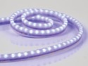 VELLEMAN LSL8B LED STRIP - BLUE - 100CM - 12VDC