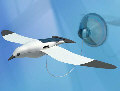 OWI-MSK677 SOLAR FLAPPING SEA GULL KIT(non solder)
