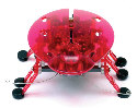 HEXBUG-ECHO RED