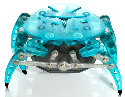 HEXBUG-CRAB-TURQUOISE